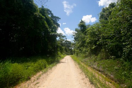 Téléchargez les photos : Vue sur les rues et les maisons d'une région de jungle dans l'Amazonie péruvienne située près de la ville de Tarapoto. - en image libre de droit
