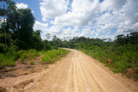 Téléchargez les photos : Vue sur les rues et les maisons d'une région de jungle dans l'Amazonie péruvienne située près de la ville de Tarapoto. - en image libre de droit