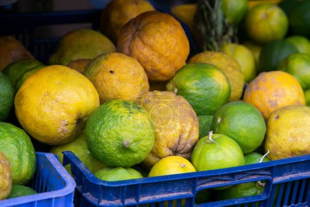 Photo for Variety of Peruvian lemons from the Peruvian jungle area in a market in an area of the Amazon. - Royalty Free Image