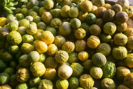 Téléchargez les photos : Variété de citrons péruviens de la jungle péruvienne dans un marché dans une région de l'Amazonie. - en image libre de droit