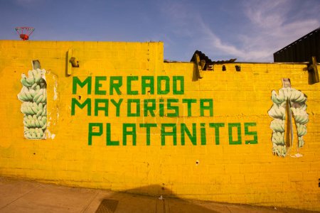Téléchargez les photos : Tarapoto, Pérou ; 1er octobre 2023 : Marché de gros de bananes dans la ville de Tarapoto dans la jungle péruvienne. - en image libre de droit