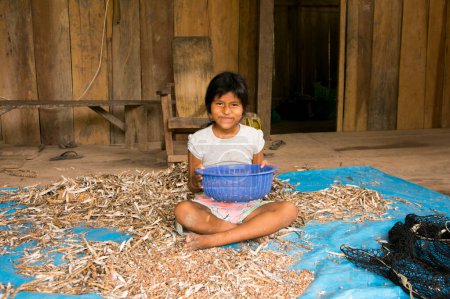 Foto de Chuiparillo, Perú; 1 de octubre de 2022: Una niña seleccionando legumbres en la selva peruana. - Imagen libre de derechos