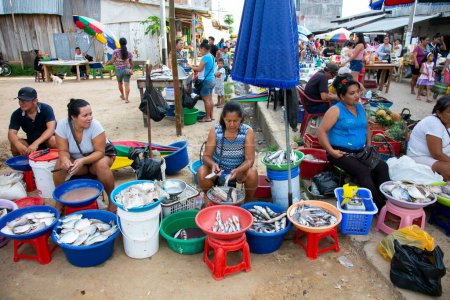 Foto de Yurimaguas, Perú; 1 de octubre de 2022: Puesto de venta en el mercado central de alimentos de Yurimaguas en la selva peruana. - Imagen libre de derechos