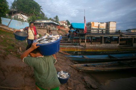 Foto de Yurimaguas, Perú 1 de octubre de 2022: Comunidad de pescadores descargando pescado de sus embarcaciones en el río Huallaga en la selva peruana. - Imagen libre de derechos