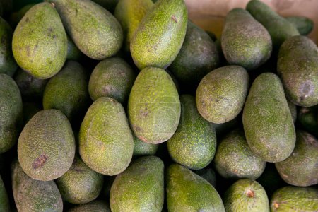Téléchargez les photos : Avocats dans un stand du marché central des fruits et légumes à Arequipa, Pérou. - en image libre de droit