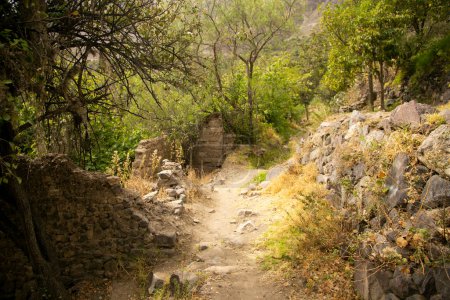 Foto de Caminata por el Cañón del Colca siguiendo la ruta de Cabanaconde al Oasis. - Imagen libre de derechos