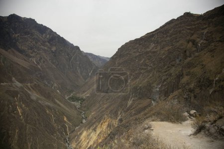 Téléchargez les photos : Randonnée à travers le Canyon de Colca en suivant la route de Cabanaconde à l'Oasis. - en image libre de droit