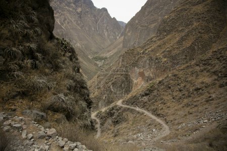 Téléchargez les photos : Randonnée à travers le Canyon de Colca en suivant la route de Cabanaconde à l'Oasis. - en image libre de droit