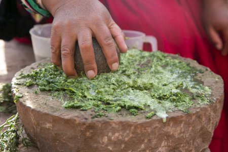 Foto de Mujer preparando champú orgánico natural a base de plantas en la región de Llachon en el lago Titicaca en Perú. - Imagen libre de derechos