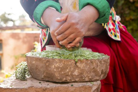Téléchargez les photos : Femme préparant un shampooing naturel à base de plantes biologiques dans la région de Llachon sur le lac Titicaca au Pérou. - en image libre de droit