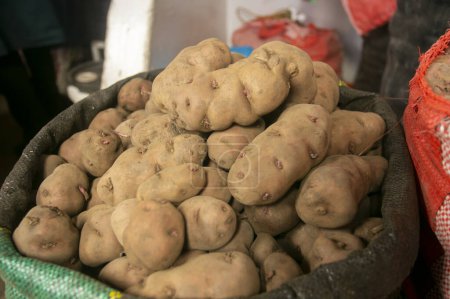 Téléchargez les photos : Variété de pommes de terre péruviennes sur le marché central de la ville de Cusco au Pérou. - en image libre de droit