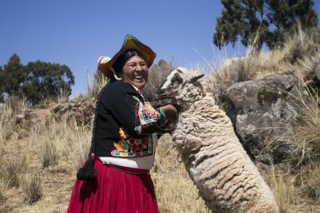 Téléchargez les photos : Llachon, Pérou ; 1er janvier 2023 : Les populations locales de la province de Llachn sur le lac Titicaca avec leur troupeau de moutons. - en image libre de droit