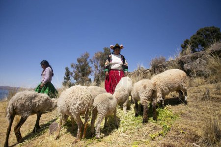 Foto de Llachon, Perú; 1 de enero de 2023: Una mujer que trabaja con lana en la península de Llachon en el lago Titicaca. - Imagen libre de derechos