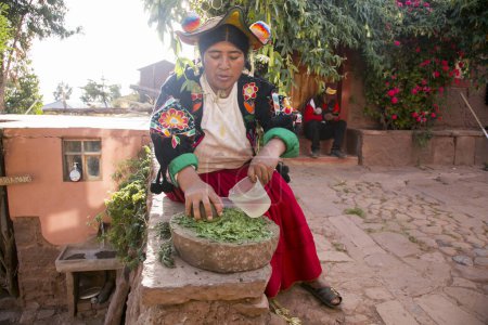 Téléchargez les photos : Llachon, Pérou ; 1er janvier 2023 : Femme préparant un shampooing naturel à base de plantes biologiques dans la région de Llachon sur le lac Titicaca au Pérou. - en image libre de droit