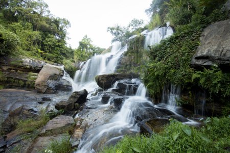 Téléchargez les photos : Doi Inthanon à Chiang Mai est l'un des parcs nationaux les plus populaires de Thaïlande. Il est célèbre pour ses cascades et ses sentiers. - en image libre de droit