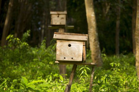 Téléchargez les photos : Maison d'abeilles en bois sur une ferme sur l'île de Ko Yao dans le sud de la Thaïlande. - en image libre de droit