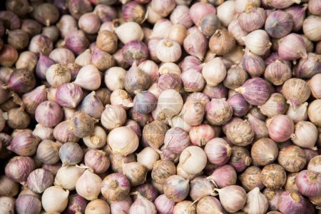 Photo for Pile of garlic cloves at a street food stall in the city of Bangkok in Thailand. - Royalty Free Image