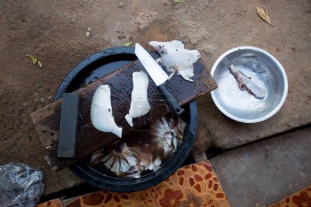 Foto de Herramientas para limpiar y preparar calamares en Ko Yao en el sur de Tailandia. - Imagen libre de derechos