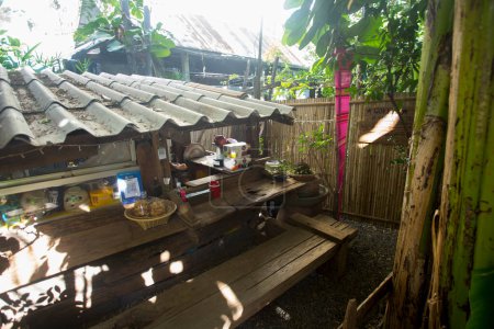 Téléchargez les photos : Chiang Mai, Thaïlande ; 1er janvier 2023 : Café dans une plantation de café biologique dans le nord de la Thaïlande. - en image libre de droit