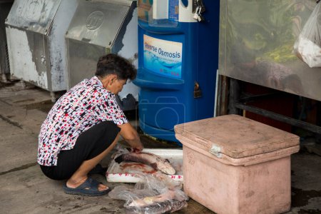 Téléchargez les photos : Bangkok, Thaïlande ; 1er janvier 2023 : Les gens nettoient le poisson et vendent du poisson dans le district de Samut Songkram. - en image libre de droit