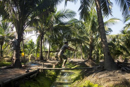 Foto de Samut Songkhram, Tailandia; 1 de enero de 2023: Un joven agricultor que trabaja en una plantación orgánica de coco. - Imagen libre de derechos