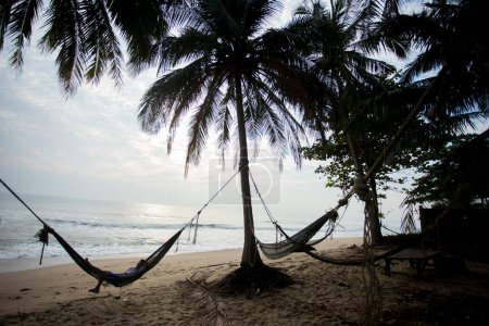 Téléchargez les photos : Sichon, Thaïlande ; 1er janvier 2023 : Pêcheur se reposant dans un hamac parmi les palmiers sur la plage de Sichon. - en image libre de droit
