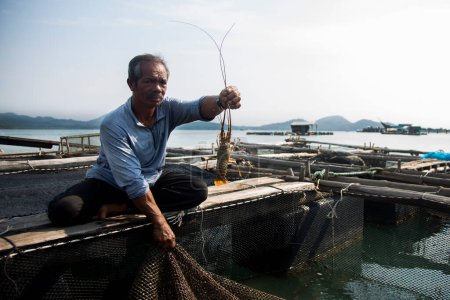 Téléchargez les photos : Koh Yao, Thaïlande ; 1er janvier 2023 : Pêcheur local dans une ferme de homard sur une île dans le sud de la Thaïlande. - en image libre de droit