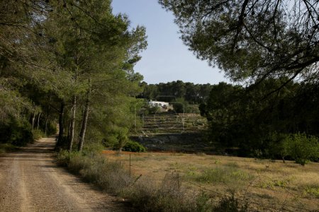 Téléchargez les photos : Maison de campagne blanche sur l'île d'Ibiza entourée par la nature dans la partie nord de l'île. - en image libre de droit