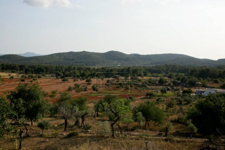 Foto de Vistas de la naturaleza y los árboles en la parte norte de la isla de Ibiza. - Imagen libre de derechos