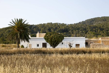 Téléchargez les photos : Maison de campagne blanche sur l'île d'Ibiza entourée par la nature dans la partie nord de l'île. - en image libre de droit