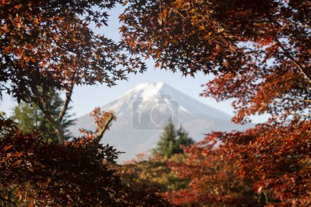 Photo for View of Mount Fuji from Chureito Temple surrounded by red maples in autumn. - Royalty Free Image