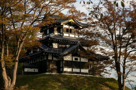 Téléchargez les photos : Château Takada à Joetsu, Japon. - en image libre de droit