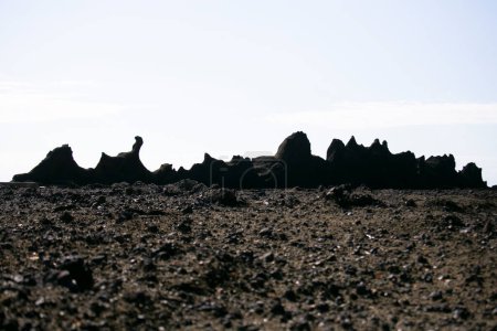 Téléchargez les photos : Littoral formé par l'activité volcanique sur la côte d'Ogi dans l'île de Sado, préfecture de Niigata, Japon. - en image libre de droit