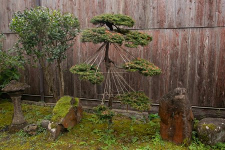 Foto de Antigua casa de estilo japonés con un hermoso jardín situado en el pueblo de Shukunegi. - Imagen libre de derechos