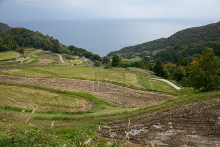 Foto de Terrazas de arroz en Iwakubi, Isla Sado, Prefectura de Niigata. - Imagen libre de derechos
