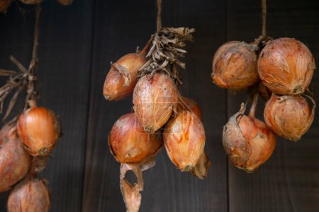 Photo for Japanese onions hanging in a house on Sado Island, Niigata, Japan. - Royalty Free Image