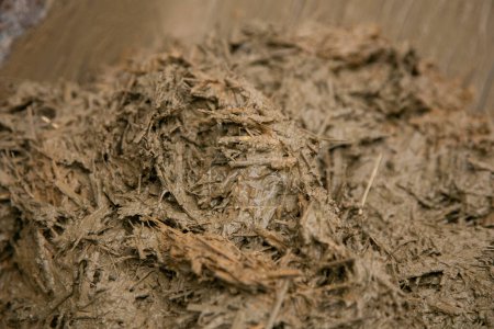 Photo for Mixture of straw and mud for the reconstruction of an old Japanese house. - Royalty Free Image