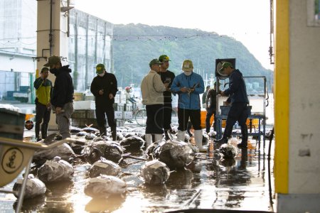 Foto de Nachikatsuura, Japón; 1 de octubre de 2023: Pescadores y compradores en la salida de atún en el puerto pesquero de Katsuura temprano en la mañana. - Imagen libre de derechos