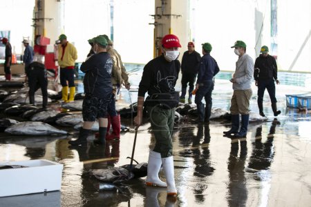 Foto de Nachikatsuura, Japón; 1 de octubre de 2023: Pescadores y compradores en la salida de atún en el puerto pesquero de Katsuura temprano en la mañana. - Imagen libre de derechos
