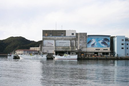 Téléchargez les photos : Nachikatsuura, Japon ; 1er octobre 2023 : Le principal port de pêche de Katsuura. - en image libre de droit
