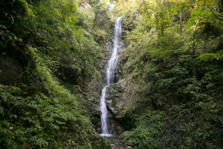Téléchargez les photos : Cascade Yoro dans l'île de Sado dans la préfecture de Niigata, Japon. - en image libre de droit