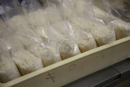 Téléchargez les photos : Sacs de tofu déchiquetés dans un magasin de tofu à Shizuoka, Japon. - en image libre de droit