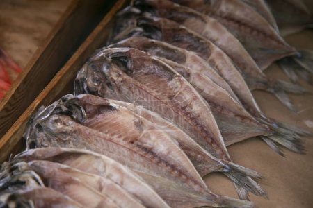 Photo for Ito, Japan; 1st October 2023: Fish at a Dried Fish shop in Ito City, Shizuoka, Japan. - Royalty Free Image