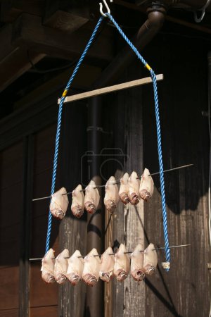 Foto de Calamari Secado de pescado colgado en las calles del hermoso pueblo pesquero de Ine en el norte de Kioto. - Imagen libre de derechos