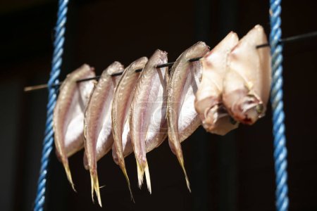 Foto de Calamari Secado de pescado colgado en las calles del hermoso pueblo pesquero de Ine en el norte de Kioto. - Imagen libre de derechos