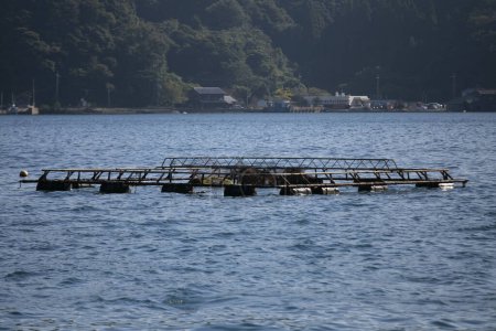 Foto de Granjas de peces ubicadas en la bahía de Ine en el hermoso pueblo pesquero de Ine en el norte de Kyoto. - Imagen libre de derechos