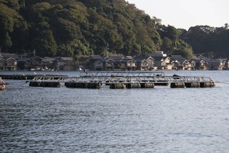 Foto de Granjas de peces ubicadas en la bahía de Ine en el hermoso pueblo pesquero de Ine en el norte de Kyoto. - Imagen libre de derechos