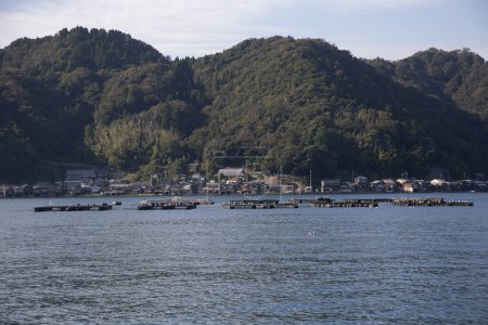 Téléchargez les photos : Fermes piscicoles situées dans la baie d'Ine dans le magnifique village de pêcheurs d'Ine au nord de Kyoto. - en image libre de droit