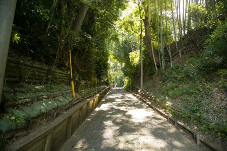 Téléchargez les photos : Vieille route des samouraïs au milieu d'une forêt de bambous à Sakura, Japon. - en image libre de droit