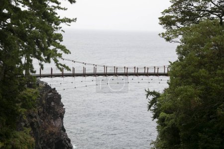 Téléchargez les photos : Le pont suspendu de Kadowaki se profile juste au-dessus de la côte de Jogasaki. - en image libre de droit